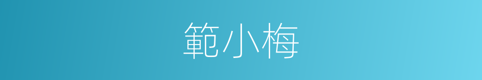 範小梅的同義詞