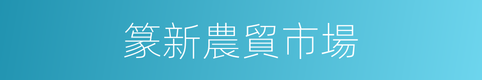 篆新農貿市場的同義詞
