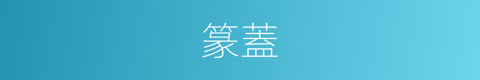 篆蓋的意思