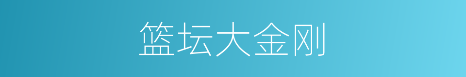 篮坛大金刚的同义词