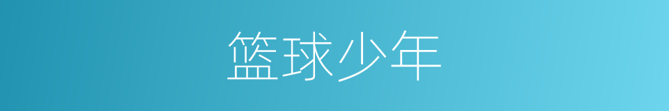 篮球少年的同义词