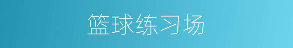 篮球练习场的同义词