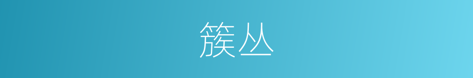 簇丛的同义词