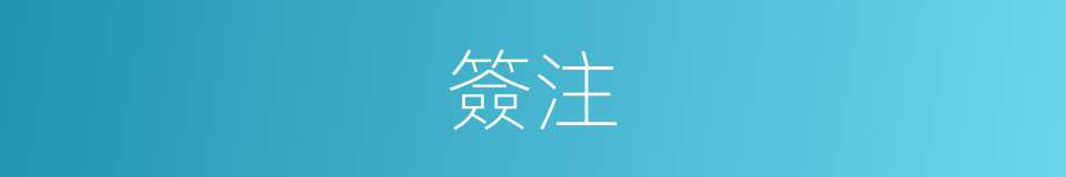 簽注的意思