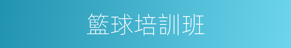 籃球培訓班的同義詞