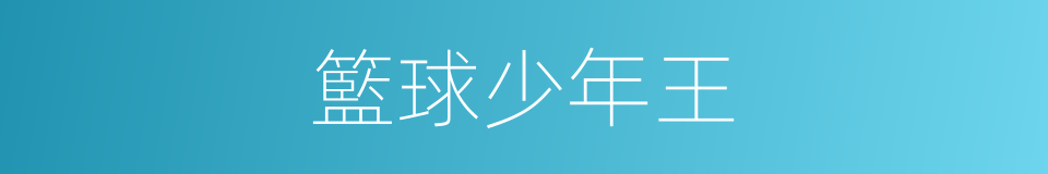籃球少年王的同義詞