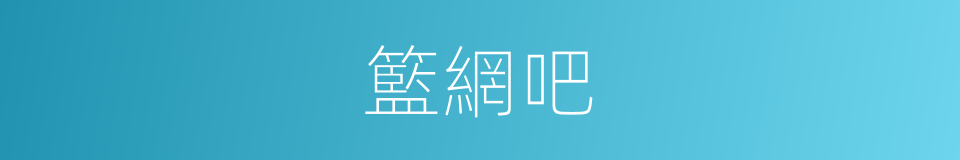 籃網吧的同義詞