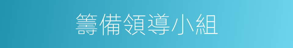 籌備領導小組的同義詞