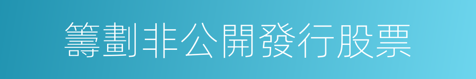籌劃非公開發行股票的同義詞