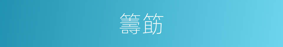 籌筯的意思