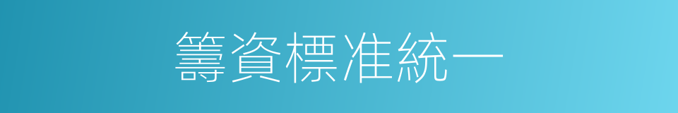 籌資標准統一的同義詞