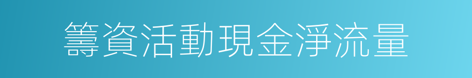 籌資活動現金淨流量的同義詞