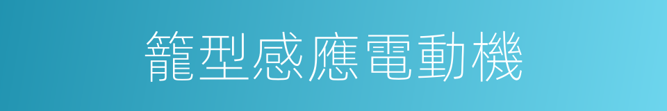 籠型感應電動機的同義詞