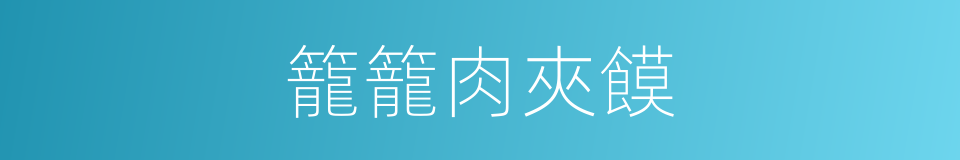 籠籠肉夾饃的同義詞