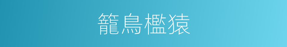 籠鳥檻猿的意思