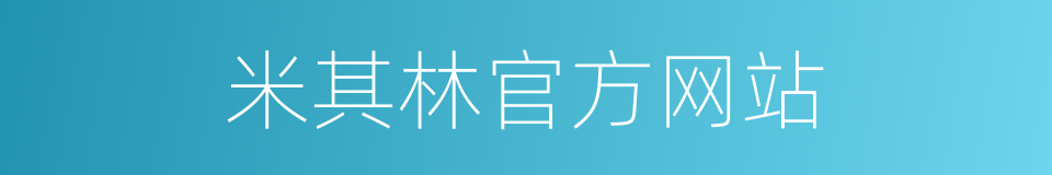 米其林官方网站的同义词