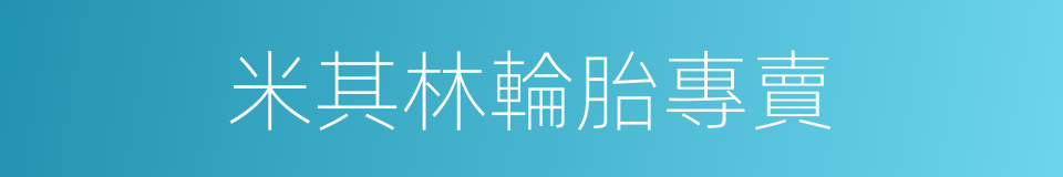 米其林輪胎專賣的同義詞
