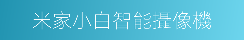 米家小白智能攝像機的同義詞