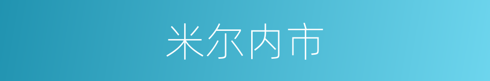 米尔内市的同义词