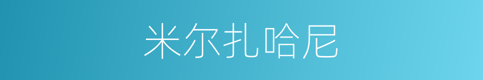 米尔扎哈尼的同义词