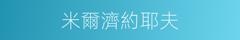 米爾濟約耶夫的同義詞