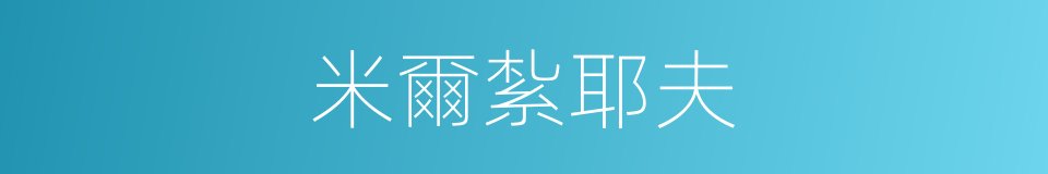 米爾紮耶夫的同義詞