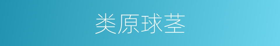 类原球茎的同义词
