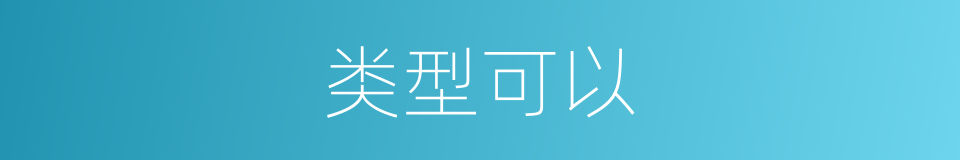类型可以的意思