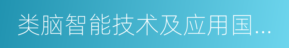 类脑智能技术及应用国家工程实验室的同义词