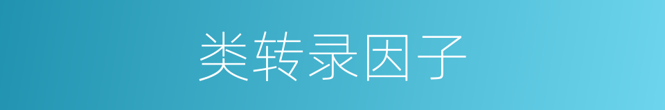 类转录因子的同义词