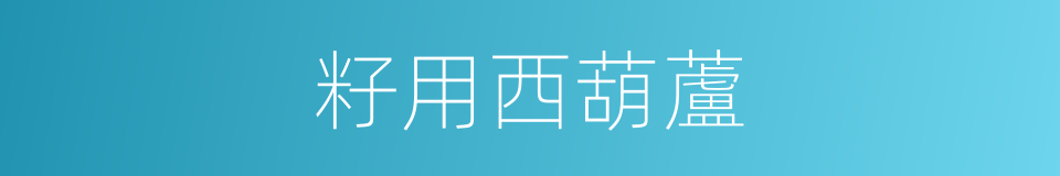 籽用西葫蘆的同義詞