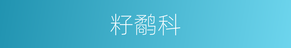 籽鹬科的同义词