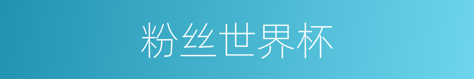 粉丝世界杯的同义词