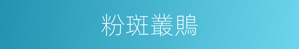 粉斑叢鵙的同義詞