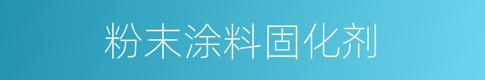 粉末涂料固化剂的同义词