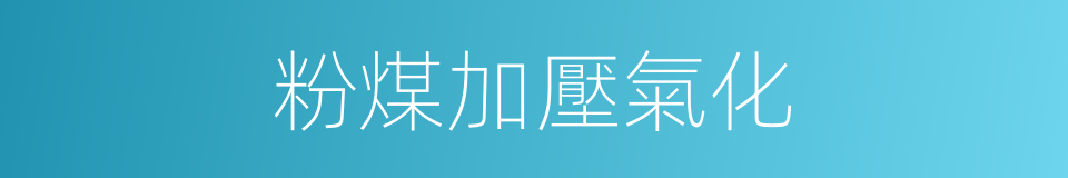 粉煤加壓氣化的同義詞