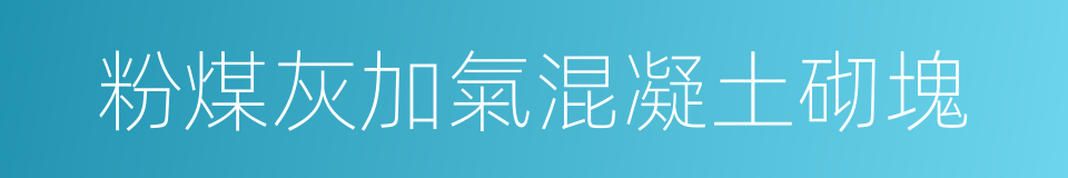粉煤灰加氣混凝土砌塊的同義詞