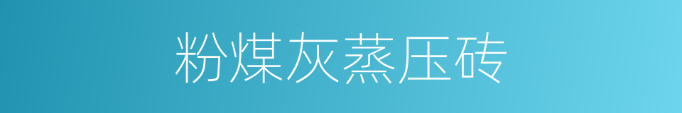 粉煤灰蒸压砖的同义词