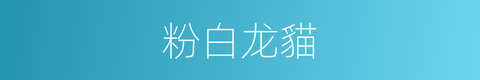 粉白龙貓的同義詞