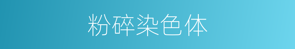 粉碎染色体的同义词