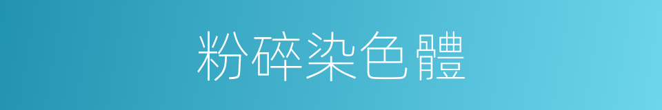 粉碎染色體的同義詞
