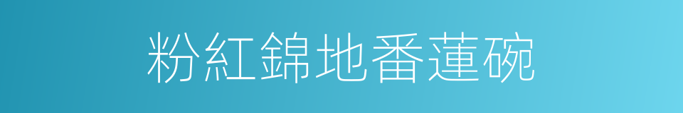粉紅錦地番蓮碗的同義詞