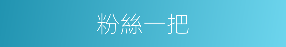 粉絲一把的同義詞