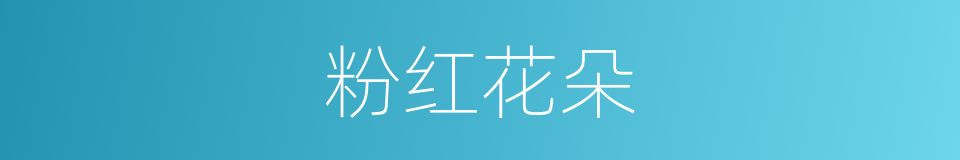 粉红花朵的同义词