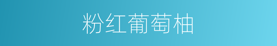 粉红葡萄柚的同义词