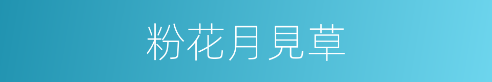 粉花月見草的同義詞