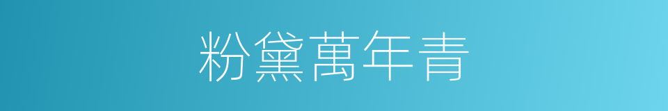 粉黛萬年青的同義詞