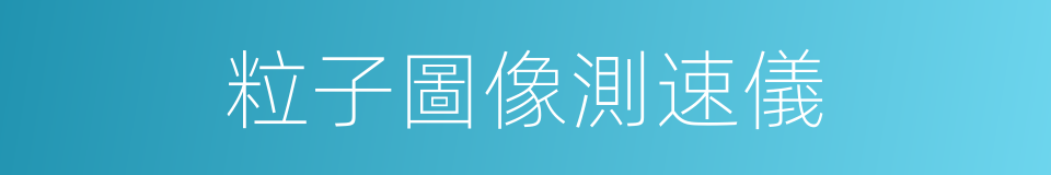 粒子圖像測速儀的同義詞