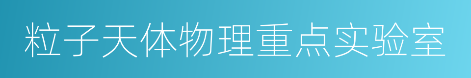 粒子天体物理重点实验室的同义词