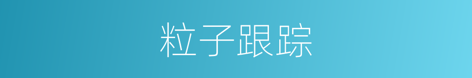 粒子跟踪的同义词